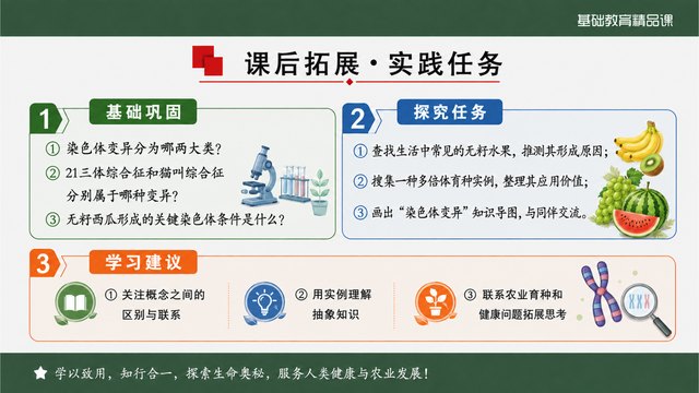 《染色体变异》精品课课堂小结与作业迁移