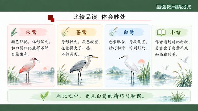 第 13 页 比较品读：朱鹭·苍鹭·白鹭三栏