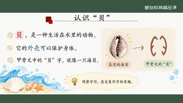 第 7 页 认识“贝”：实物照片对照甲骨文