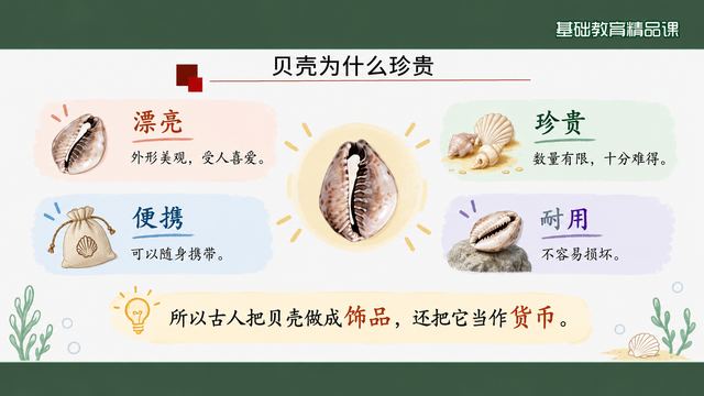 第 8 页 贝壳为什么珍贵：四格并列说理