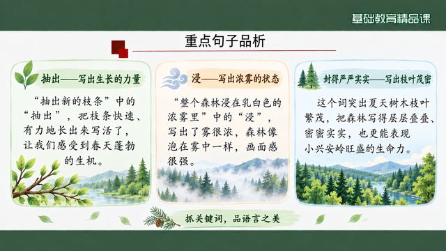 第 12 页 重点句子品析：抽出、浸、封