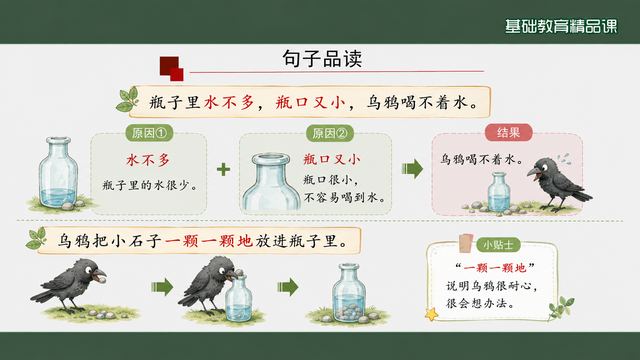 第 12 页 句子品读：两句话两个发现