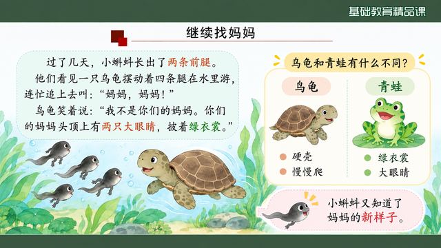 第 7 页 继续找妈妈：乌龟提供新线索