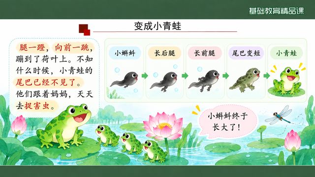 第 9 页 变成小青蛙：尾巴不见了