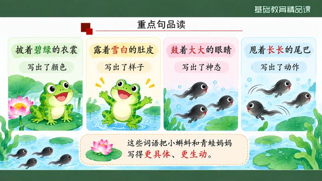 第 11 页 重点句品读：颜色、样子、神态、动作