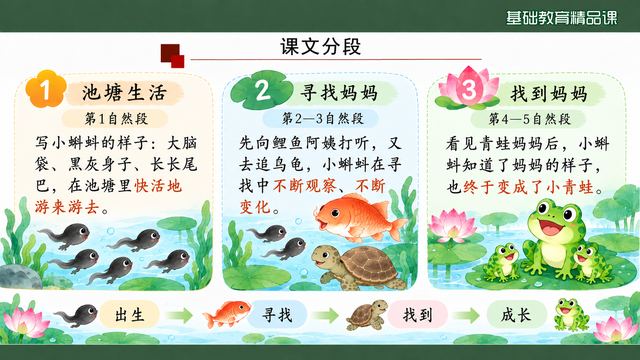 第 13 页 课文分段：三部分对应出生寻找成长