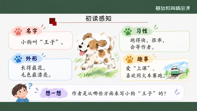第 5 页 初读感知：名字、外形、习性、趣事