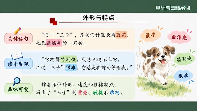 第 6 页 外形与特点：漂亮、敏捷、乖巧