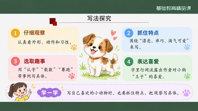 第 10 页 写法探究：观察、特点、趣事、喜爱