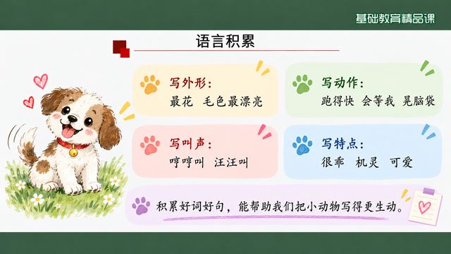 第 11 页 语言积累：四类词语分栏